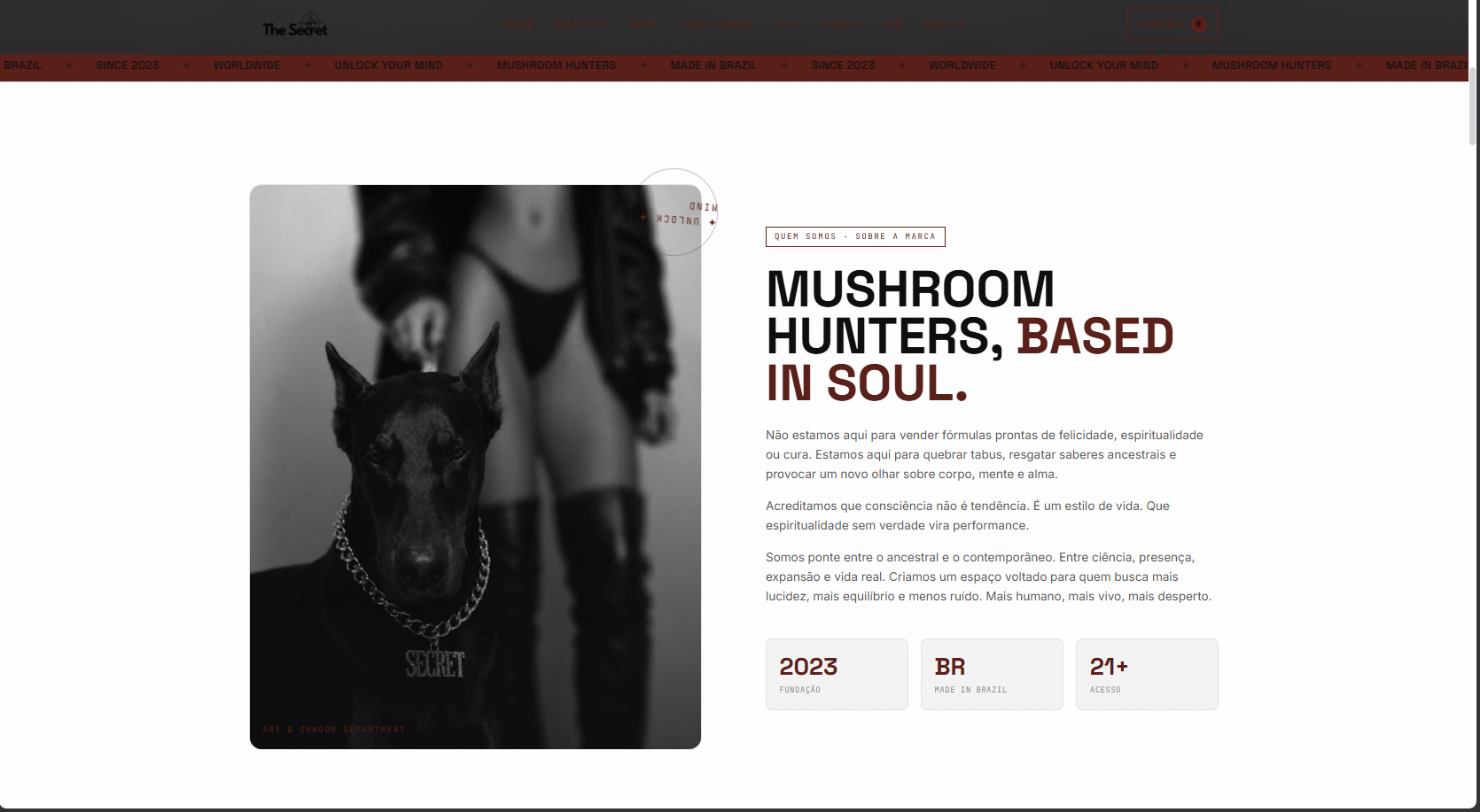 O Segredo Fungi — tela 3